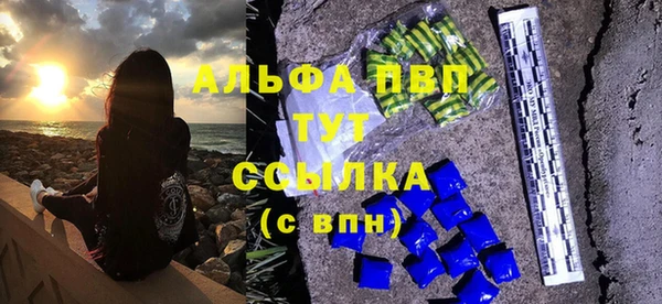 сатива Новый Уренгой