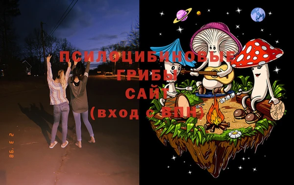 сатива Новый Уренгой