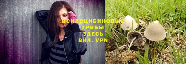 спайс Долгопрудный